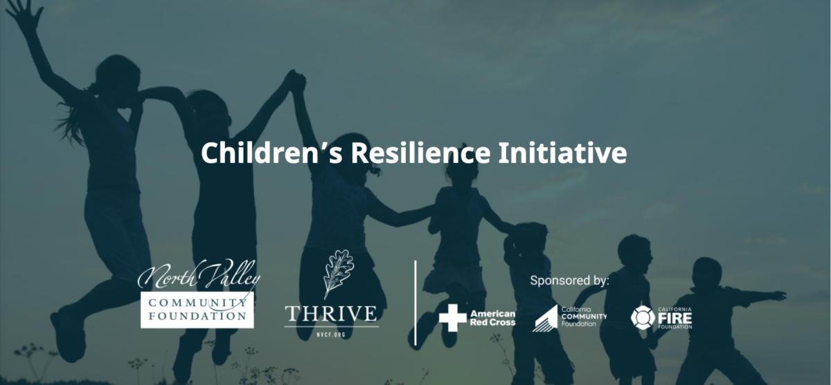 banner image showing silhouettes of children holding hands and jumping with words Children's Resilience initiative